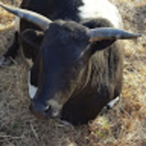 Meet your Posher, Jonathan - Picture 1 of 1